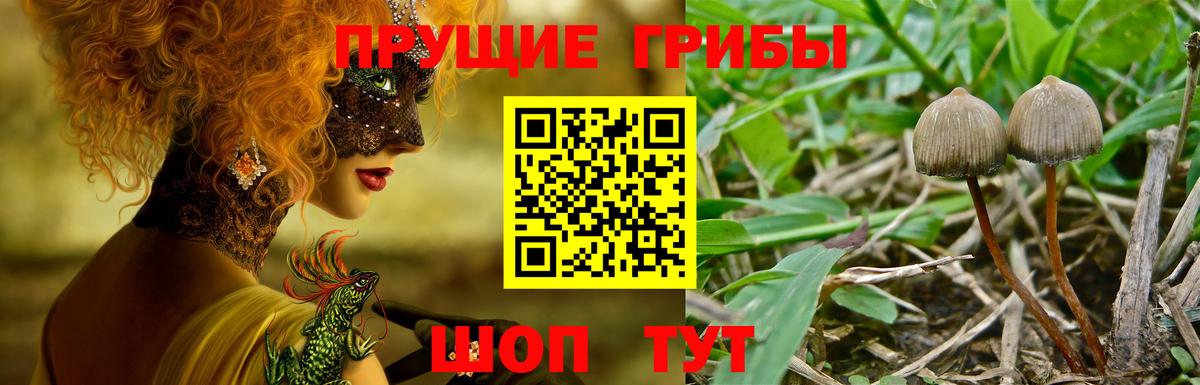 Псилоцибиновые грибы мицелий  Вход с VPN  Азнакаево 